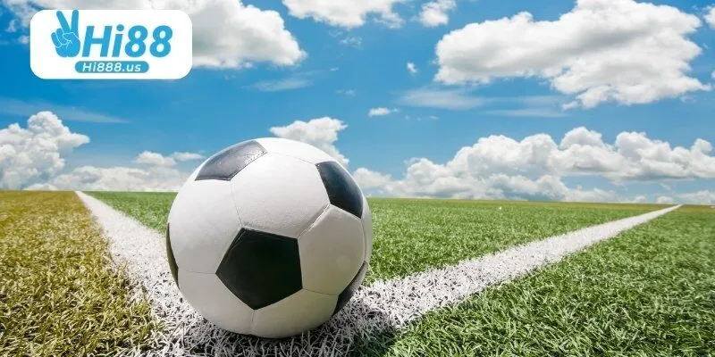 Nhiều ưu điểm đặc biệt